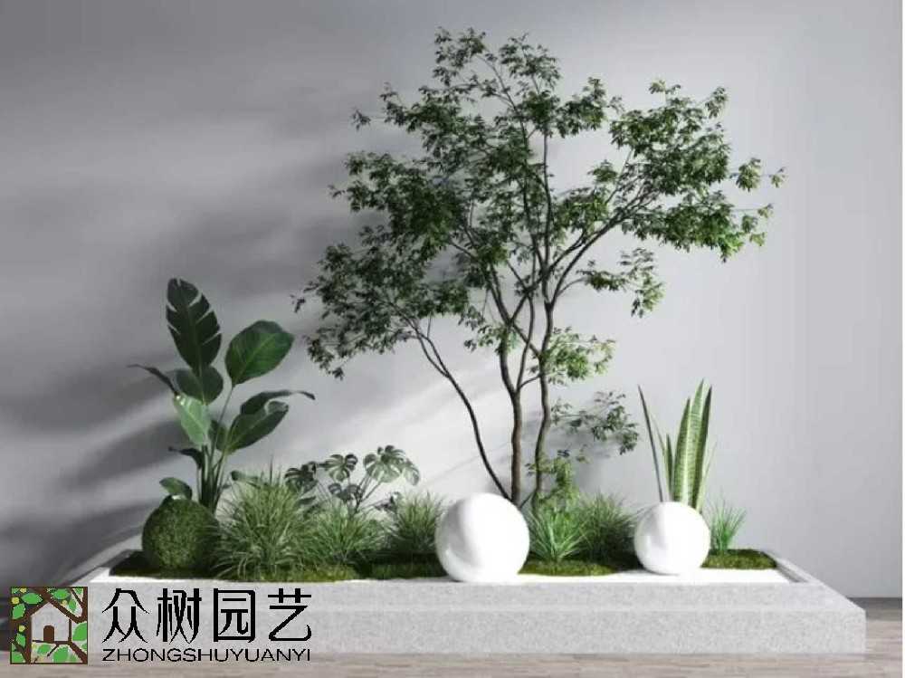 蘇州綠植租賃怎么選？一文帶你避坑