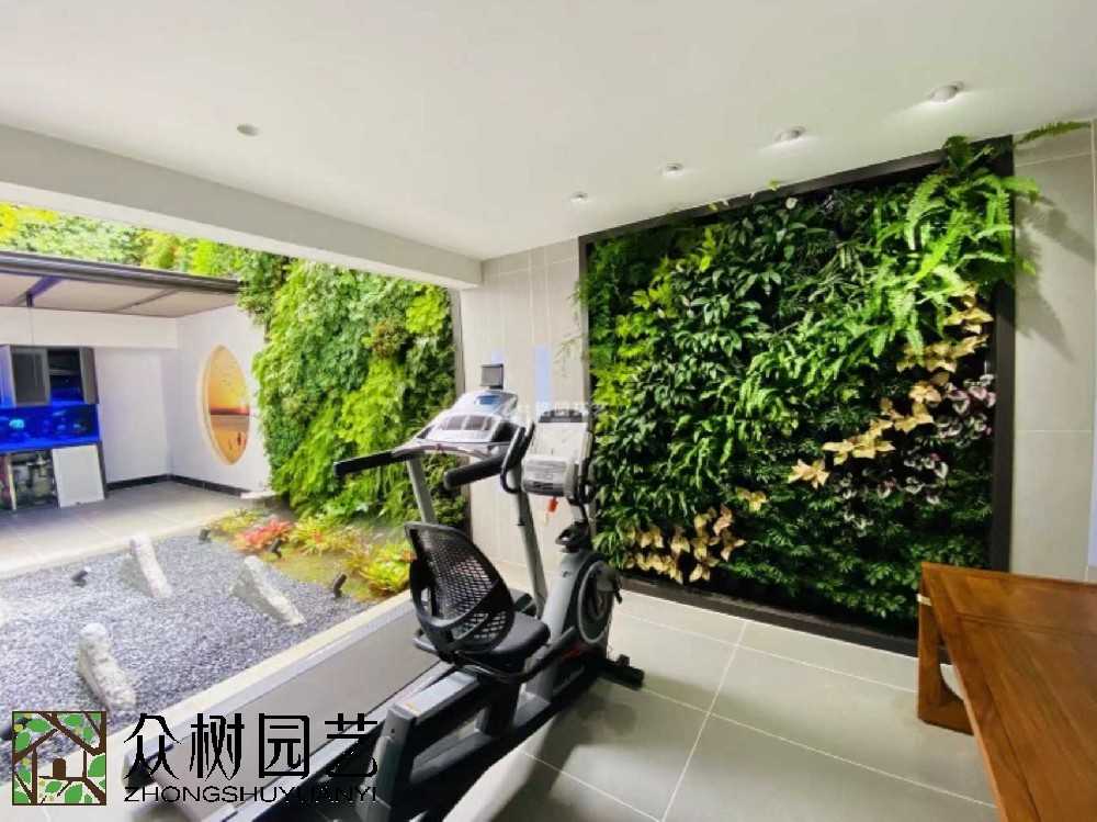 蘇州綠植租賃新風(fēng)尚：打造辦公室綠色生態(tài)，讓工作更舒心！