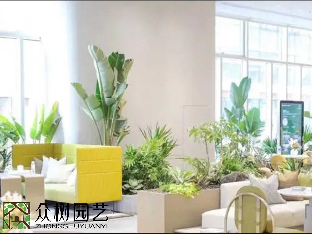 綠動蘇州，專業(yè)綠植租賃養(yǎng)護(hù)新風(fēng)尚