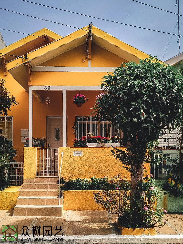 蘇州綠植花卉租擺公司：塑造綠色辦公環(huán)境，引領(lǐng)生態(tài)時尚的租擺新潮流